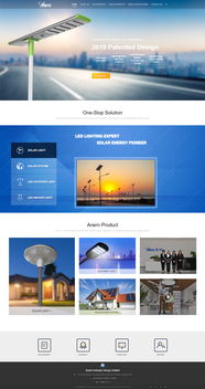 anern網站建設項目 定制化軟件服務，助力企業數字化升級